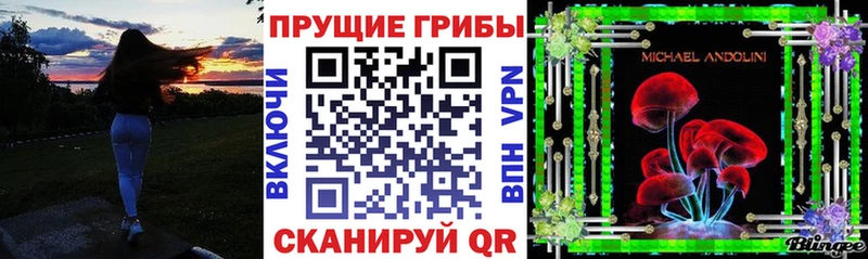 кракен ССЫЛКА  Заволжье  Псилоцибиновые грибы Magic Shrooms 